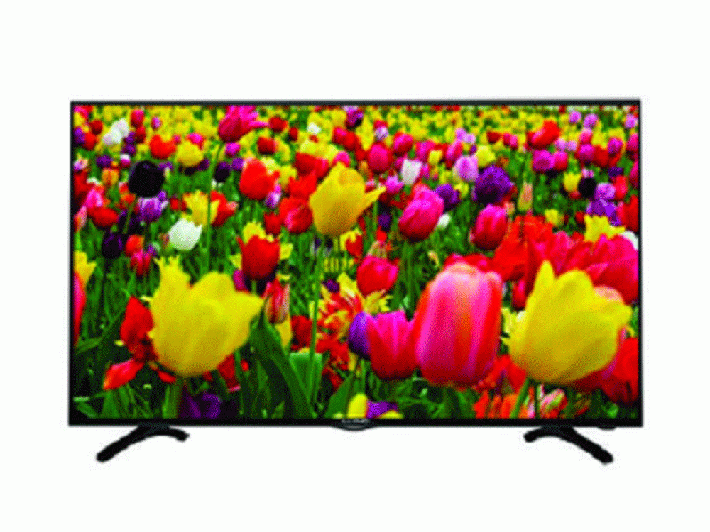 Lloyd L32DP 32 Inch (80 cm) LED TV