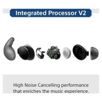 Sony WF-LS910N Wireless Headphone
