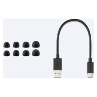 Sony WF-G700N Wireless Headphone