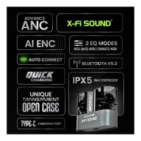 ACwO DwOTS X Pro Earphone