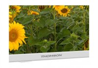 Thomson 24HA2S13CW 24 Inch (59.80 cm) Android TV