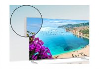 Thomson 43UA5S13W 43 Inch (109.22 cm) Android TV