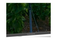 Thomson 50QA2S13 50 Inch (126 cm) Android TV