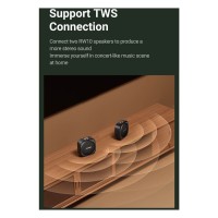 F&D RW10 Bluetooth Speaker