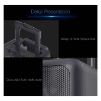 F&D PA300 Bluetooth Speaker