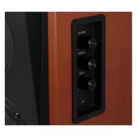 F&D R223 Home Theatre Speaker