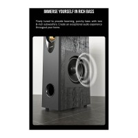 F&D T-60X Pro Home Theatre Speaker