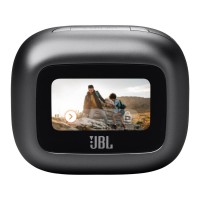 JBL Live Flex 3 Wireless Headphone