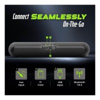 ACwO CARNIwAL 313 Bluetooth Speaker
